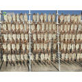 New High Quality Dried Squid Wholesale Price